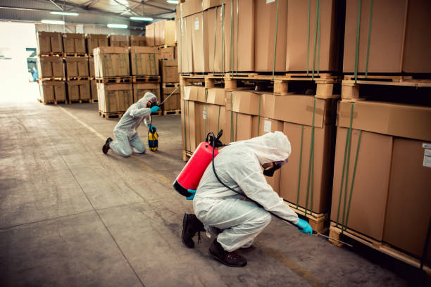 Best Affordable Pest Control Services  in Crestview, FL