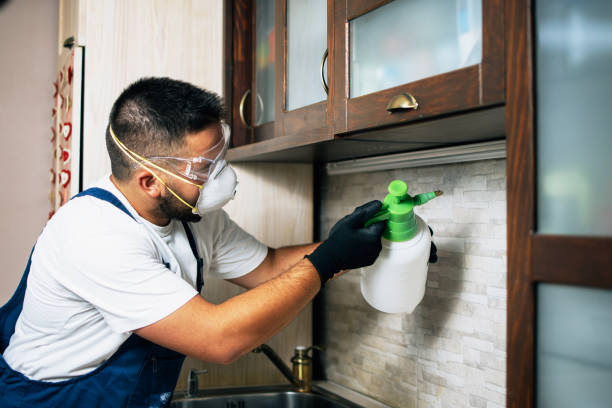 Best Local Pest Control Services  in Crestview, FL