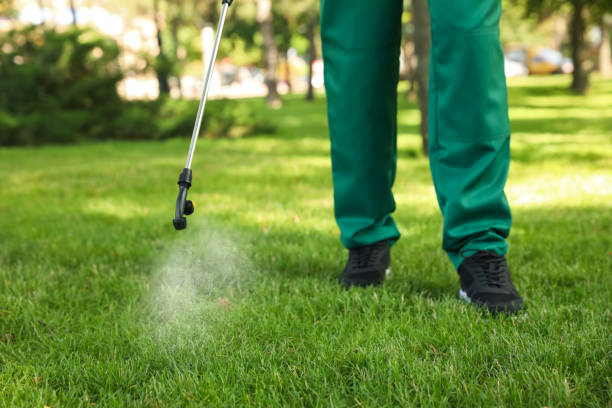 Insect Control in Crestview, FL