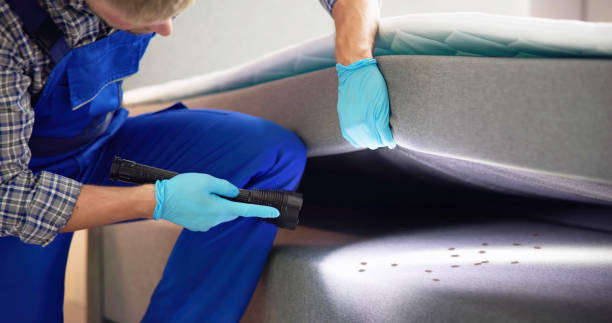 Best Emergency Pest Control  in Crestview, FL