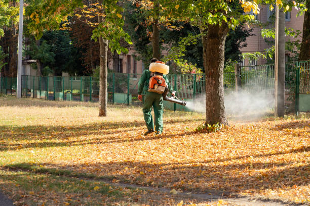 Best Wasp Removal Services  in Crestview, FL