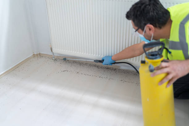 Best Cockroach Control Services  in Crestview, FL